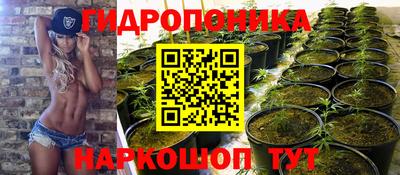 мдпв Кимры