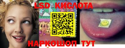 Альфа ПВП Кингисепп