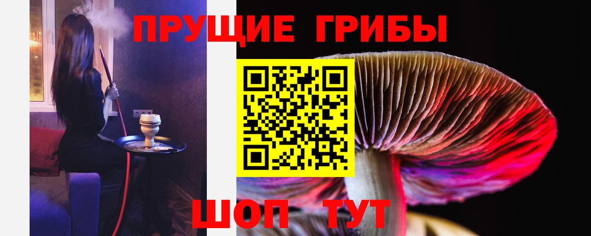 Комсомольск-на-Амуре  Галлюциногенные грибы прущие грибы  Вход с VPN 